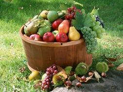 娱乐吃瓜场地图片高清大图