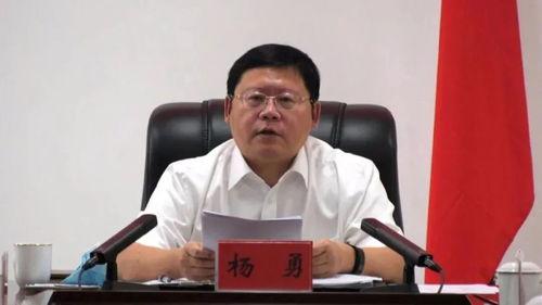 杨勇资料